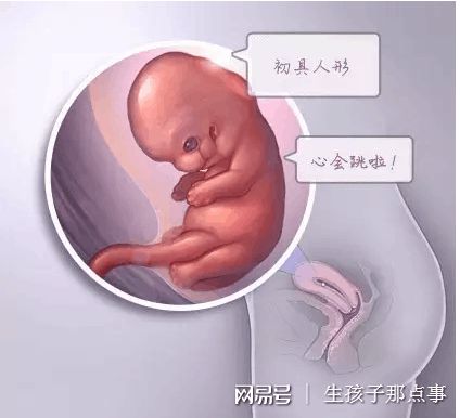 靠谱代怀包成功
